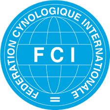 FCI LOGO1