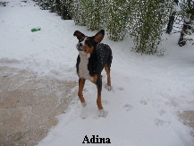 Adina im Schnee 003