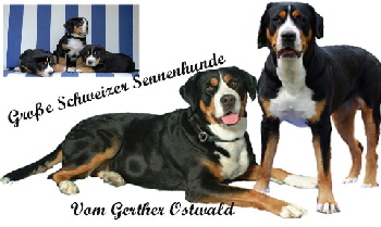 Logo Gerther Ostwald neu 2